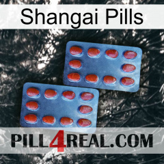 Shangai Pills 05